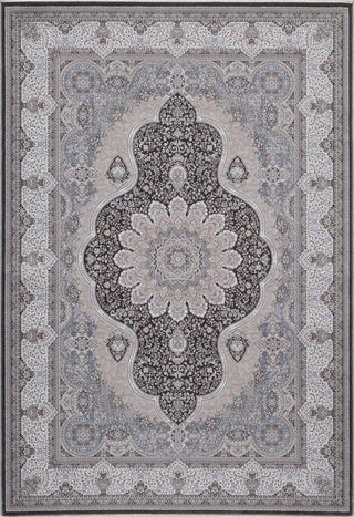 Momeni Renaissance REN-2 Charcoal Area Rug Main