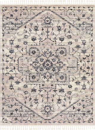 Surya Restoration REO-2301 Light Gray Charcoal Black Cream Taupe Medium Area Rug Main Image 8 X 10