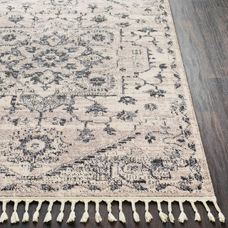 Surya Restoration REO-2301 Light Gray Charcoal Black Cream Taupe Medium Area Rug Detail Image