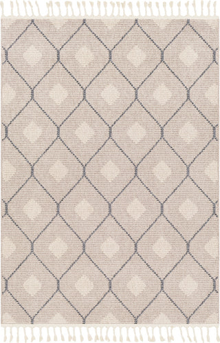 Surya Restoration REO-2303 Taupe Cream Light Gray Medium Charcoal Black Area Rug main image