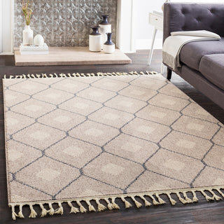 Surya Restoration REO-2303 Area Rug Room Image Feature