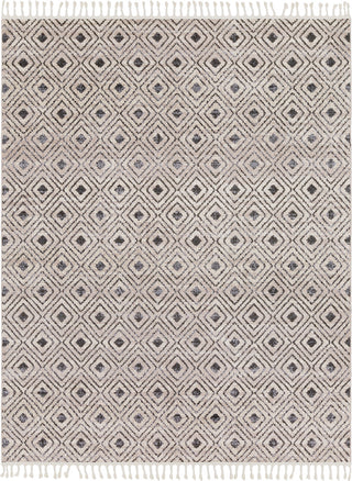 Surya Restoration REO-2306 Charcoal Medium Gray Light Cream Taupe Black Area Rug Main Image 8 X 10