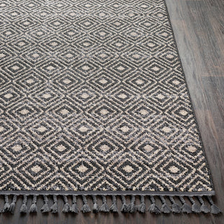 Surya Restoration REO-2307 Charcoal Medium Gray Light Cream Taupe Black Area Rug Detail Image