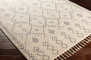 Surya Restoration REO-2309 Cream Taupe Area Rug Corner Image