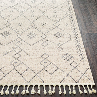 Surya Restoration REO-2309 Cream Taupe Area Rug Detail Image