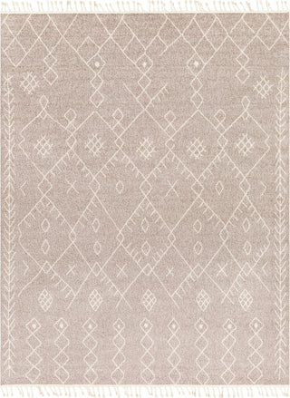 Surya Restoration REO-2310 Cream Taupe Area Rug Main Image 8 X 10