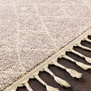 Surya Restoration REO-2310 Cream Taupe Area Rug Texture Image