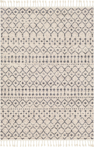 Surya Restoration REO-2311 Light Gray Medium Charcoal Cream Taupe Black Area Rug main image