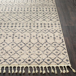 Surya Restoration REO-2311 Light Gray Medium Charcoal Cream Taupe Black Area Rug Detail Image