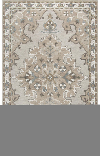 Rizzy Resonant RS931A Tan Area Rug Main Image