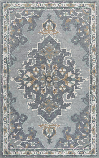 Rizzy Resonant RS933A Gray Area Rug Main Image