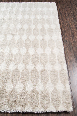 Momeni Retro RET-4 Taupe Area Rug by Novogratz Closeup