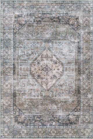 Surya Regen RGE-2311 Area Rug main image