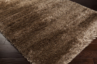 Surya Rhapsody RHA-1000 Beige Shag Weave Area Rug 5x8 Corner