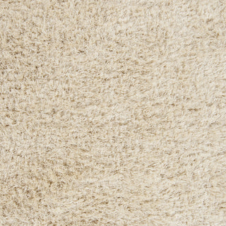 Surya Rhapsody RHA-1001 Ivory Area Rug Sample Swatch