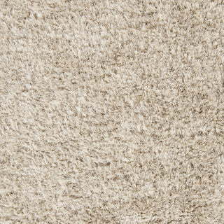 Surya Rhapsody RHA-1002 Beige Shag Weave Area Rug Sample Swatch