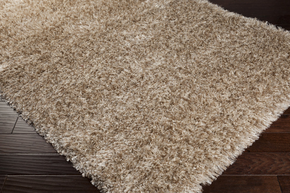 Surya Rhapsody RHA-1003 Area Rug 5x8 Corner Feature