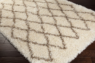 Surya Rhapsody RHA-1007 Area Rug