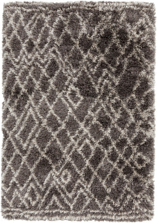 Surya Rhapsody RHA-1011 Gray Area Rug 5' x 8'