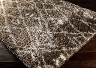 Surya Rhapsody RHA-1016 Taupe Area Rug 5x8 Corner