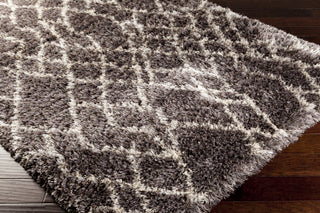 Surya Rhapsody RHA-1017 Area Rug 5x8 Corner Feature