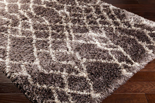 Surya Rhapsody RHA-1017 Area Rug Corner Shot