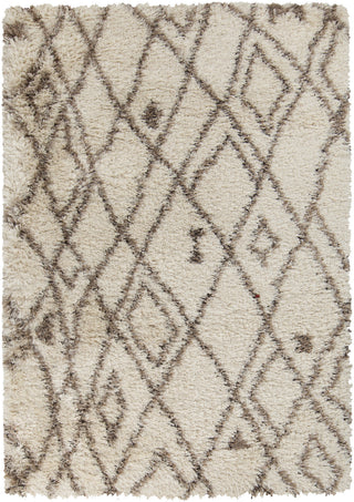 Surya Rhapsody RHA-1020 Light Gray Area Rug 5' x 8'