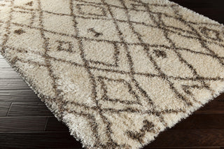Surya Rhapsody RHA-1020 Area Rug 5x8 Corner Feature