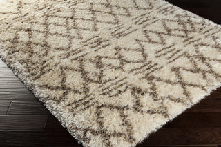 Surya Rhapsody RHA-1021 Area Rug 5x8 Corner Feature