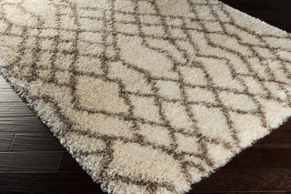 Surya Rhapsody RHA-1022 Area Rug 5x8 Corner Feature