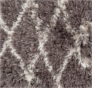 Surya Rhapsody RHA-1023 Charcoal Shag Weave Area Rug 16'' Sample Swatch