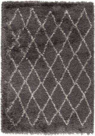 Surya Rhapsody RHA-1023 Charcoal Area Rug 5' x 8'