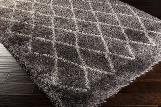 Surya Rhapsody RHA-1023 Area Rug 5x8 Corner Feature