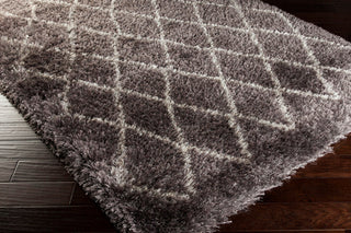 Surya Rhapsody RHA-1023 Area Rug Corner Shot