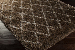 Surya Rhapsody RHA-1024 Area Rug 5x8 Corner Feature