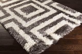 Surya Rhapsody RHA-1025 Charcoal Shag Weave Area Rug 5x8 Corner