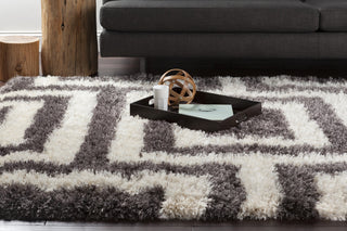 Surya Rhapsody RHA-1025 Charcoal Shag Weave Area Rug 