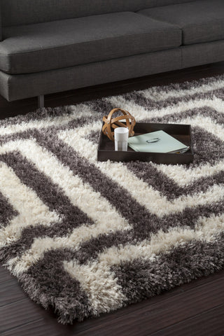 Surya Rhapsody RHA-1025 Charcoal Shag Weave Area Rug 