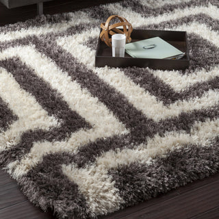 Surya Rhapsody RHA-1025 Charcoal Shag Weave Area Rug 