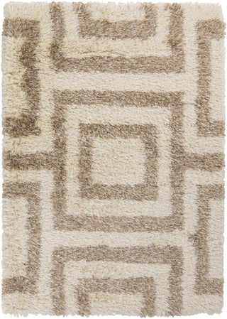 Surya Rhapsody RHA-1026 Beige Area Rug 5' x 8'