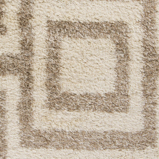 Surya Rhapsody RHA-1026 Beige Area Rug Sample Swatch