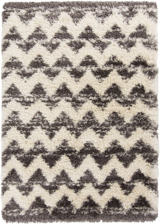 Surya Rhapsody RHA-1028 Charcoal Area Rug 5' x 8'