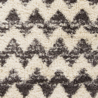 Surya Rhapsody RHA-1028 Charcoal Shag Weave Area Rug Sample Swatch