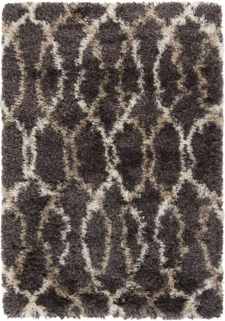 Surya Rhapsody RHA-1030 Gray Area Rug 5' x 8'