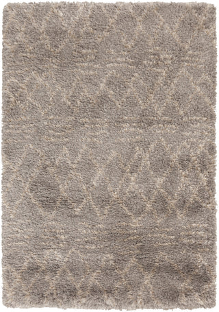 Surya Rhapsody RHA-1032 Area Rug 5' x 8'