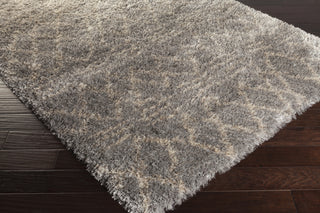 Surya Rhapsody RHA-1032 Area Rug 5x8 Corner Feature