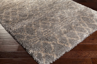 Surya Rhapsody RHA-1032 Area Rug