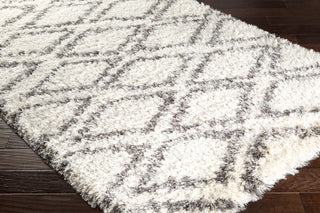 Surya Rhapsody RHA-1036 Area Rug