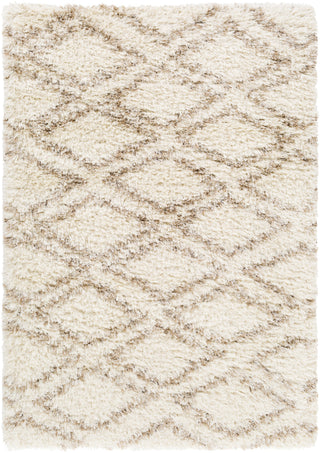 Rhapsody RHA-1037 White Area Rug by Surya 5' X 8'