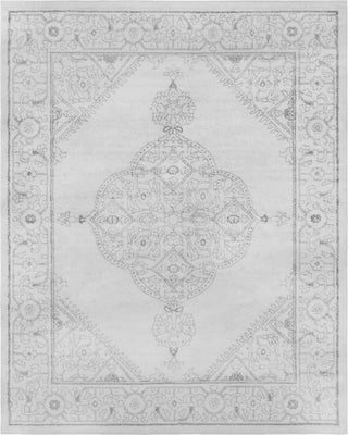 Surya Rhea RHE-1001 Pale Blue Cream Area Rug Main Image 8 X 11